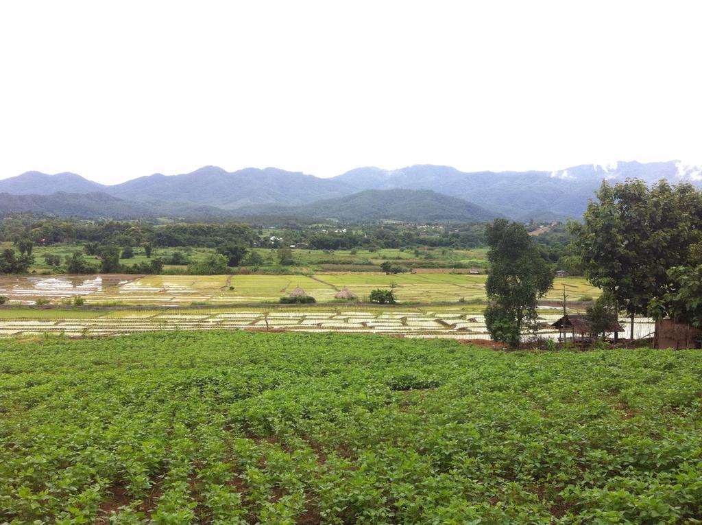 Chang Pai Garden (Adults Only) Εξωτερικό φωτογραφία