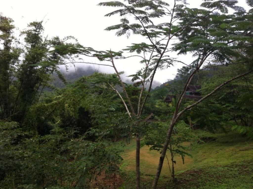Chang Pai Garden (Adults Only) Εξωτερικό φωτογραφία