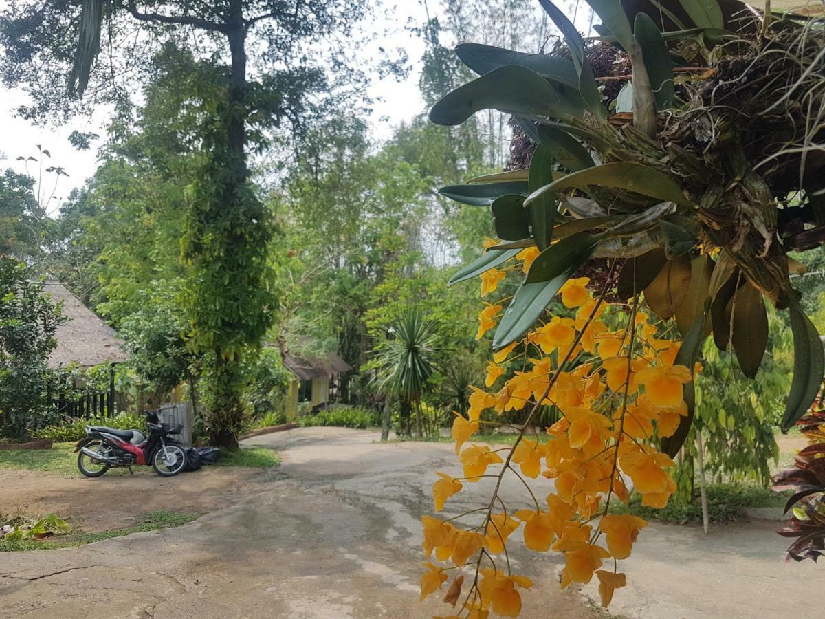 Chang Pai Garden (Adults Only) Εξωτερικό φωτογραφία